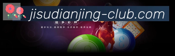 未来规划